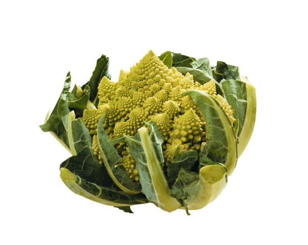 LE ROMANESCO