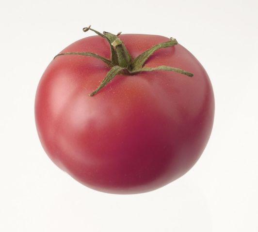 LA TOMATE ROSE